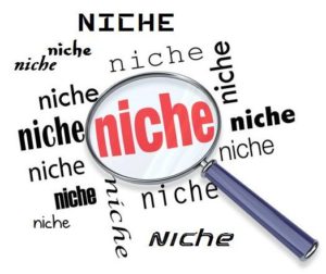 selecting the niche